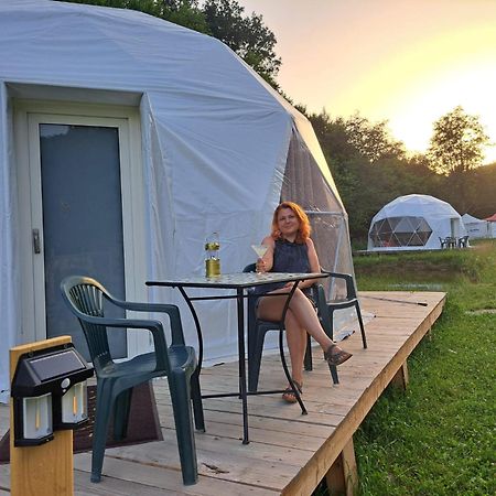 Forest Glamping Brasov Exterior photo