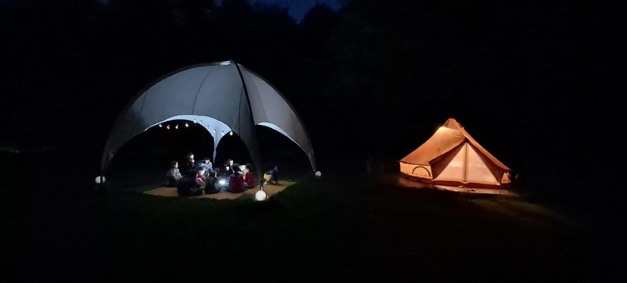Forest Glamping Brasov Exterior photo
