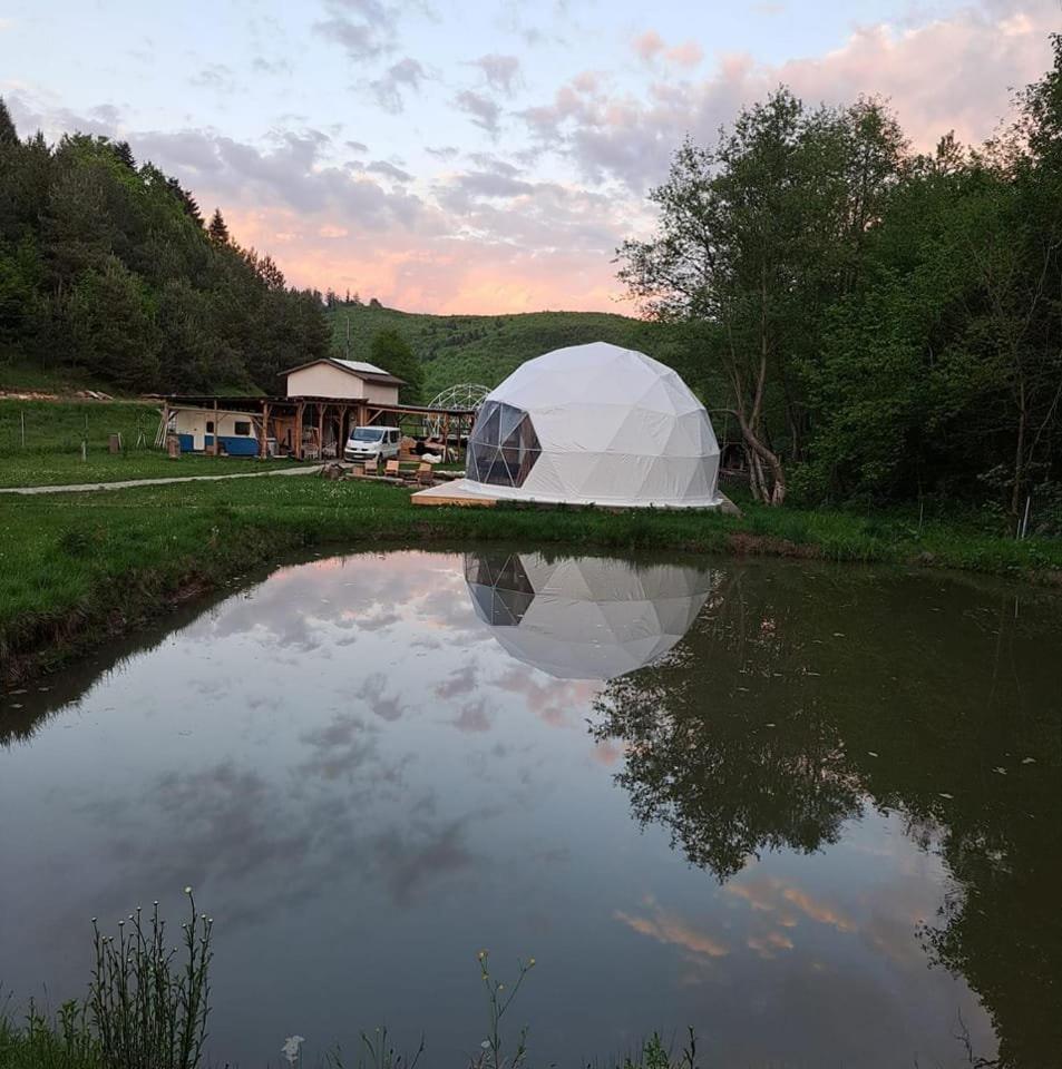 Forest Glamping Brasov Exterior photo