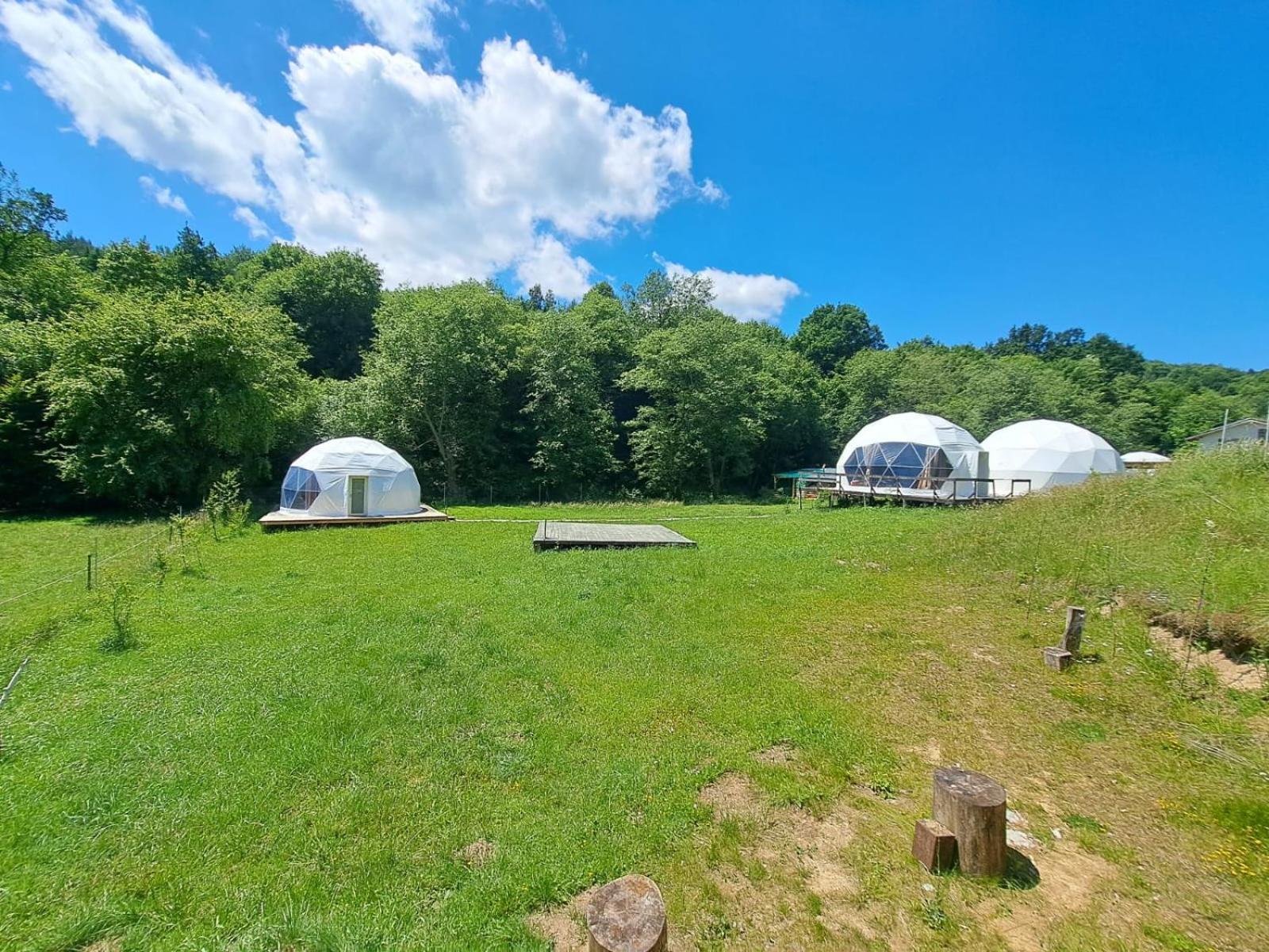 Forest Glamping Brasov Exterior photo