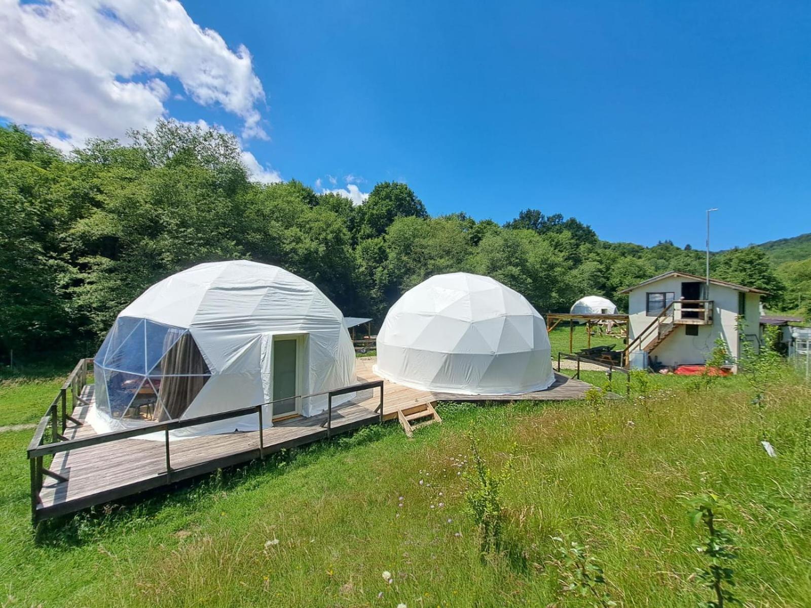 Forest Glamping Brasov Exterior photo