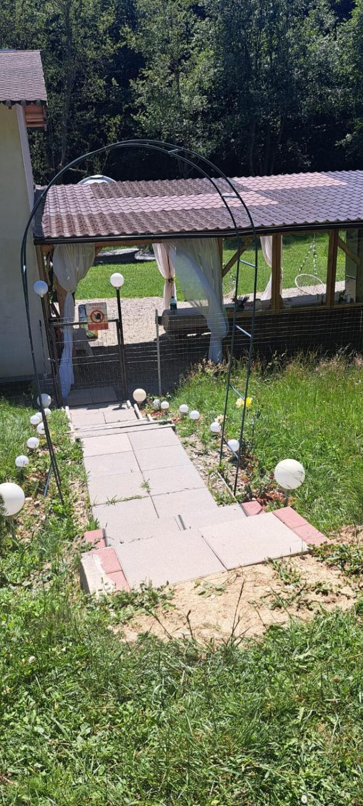 Forest Glamping Brasov Exterior photo