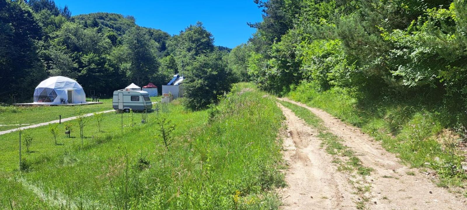Forest Glamping Brasov Exterior photo