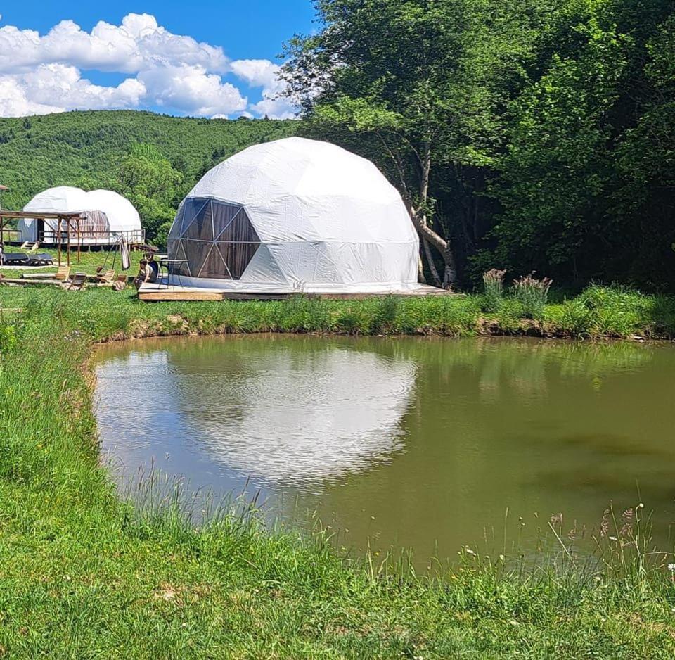 Forest Glamping Brasov Exterior photo