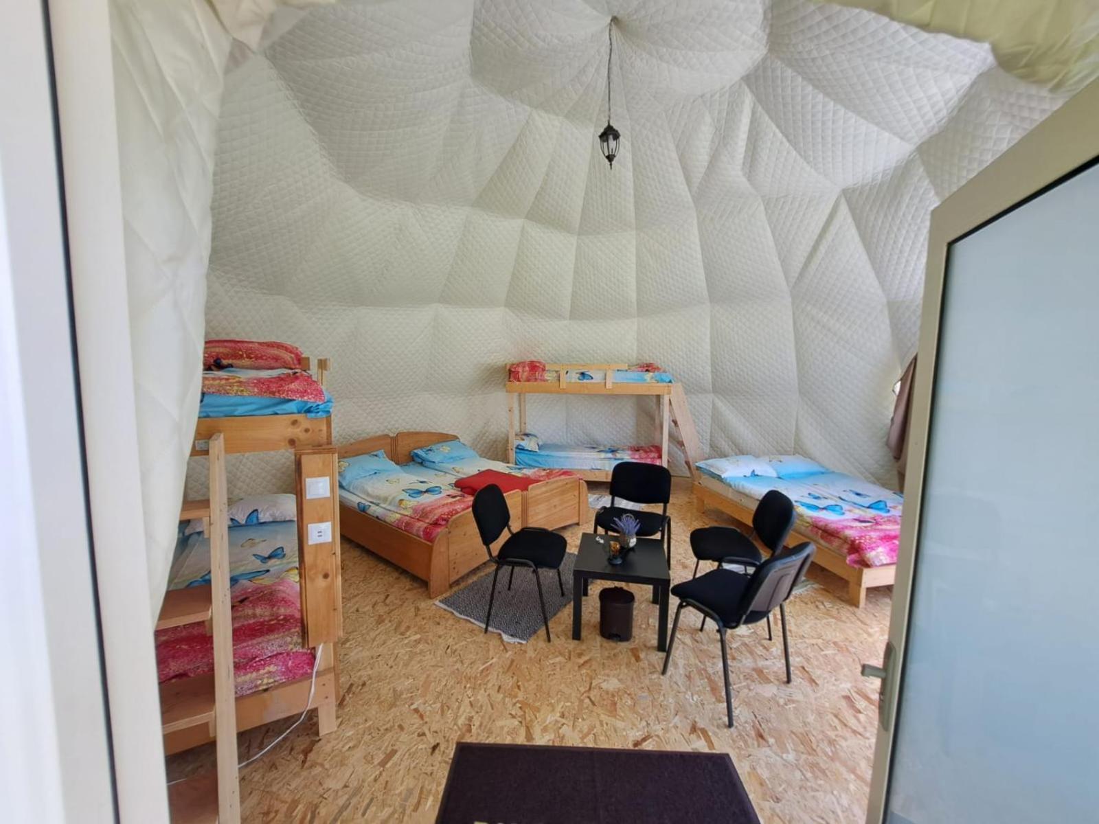 Forest Glamping Brasov Exterior photo