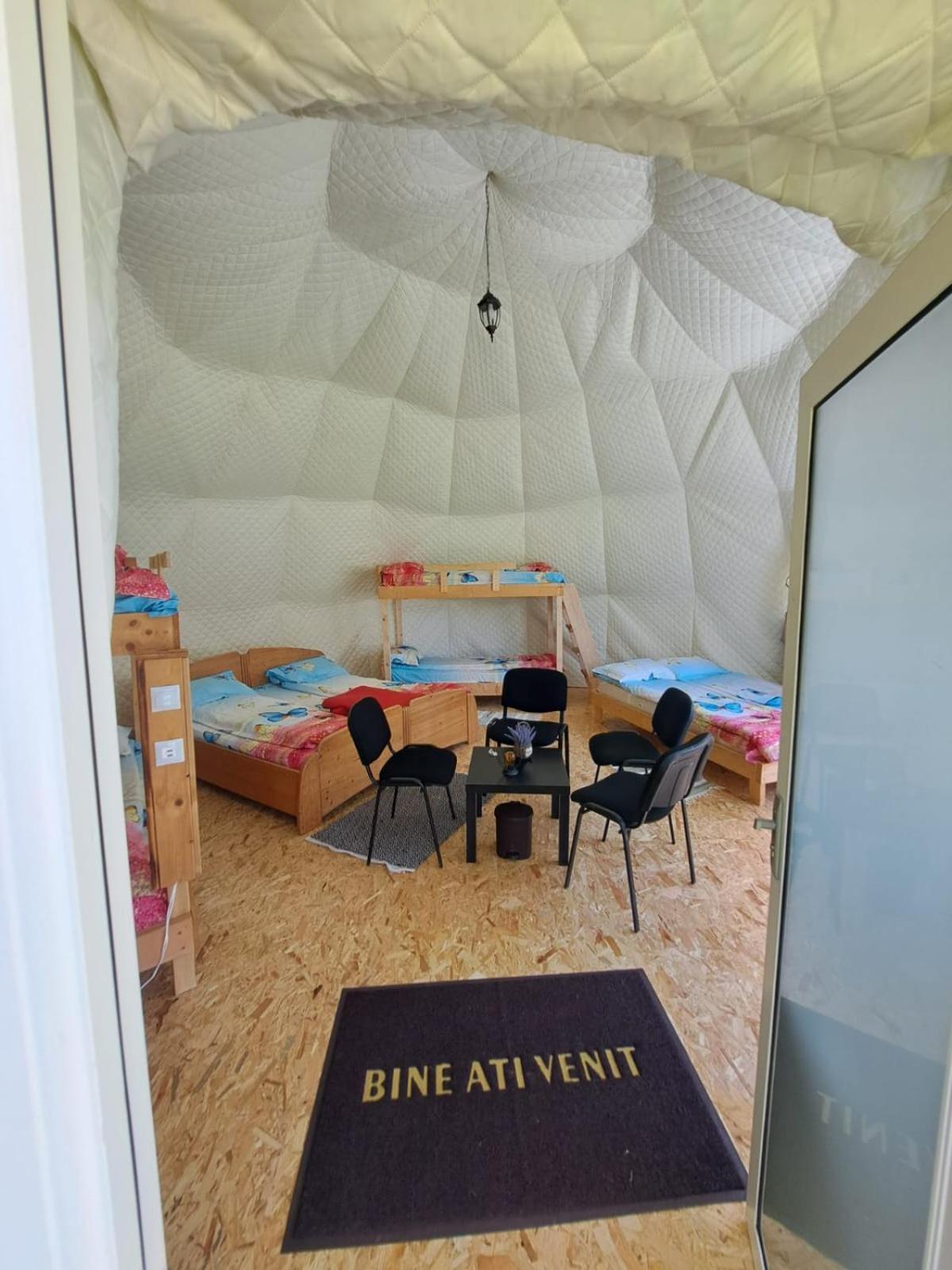Forest Glamping Brasov Exterior photo