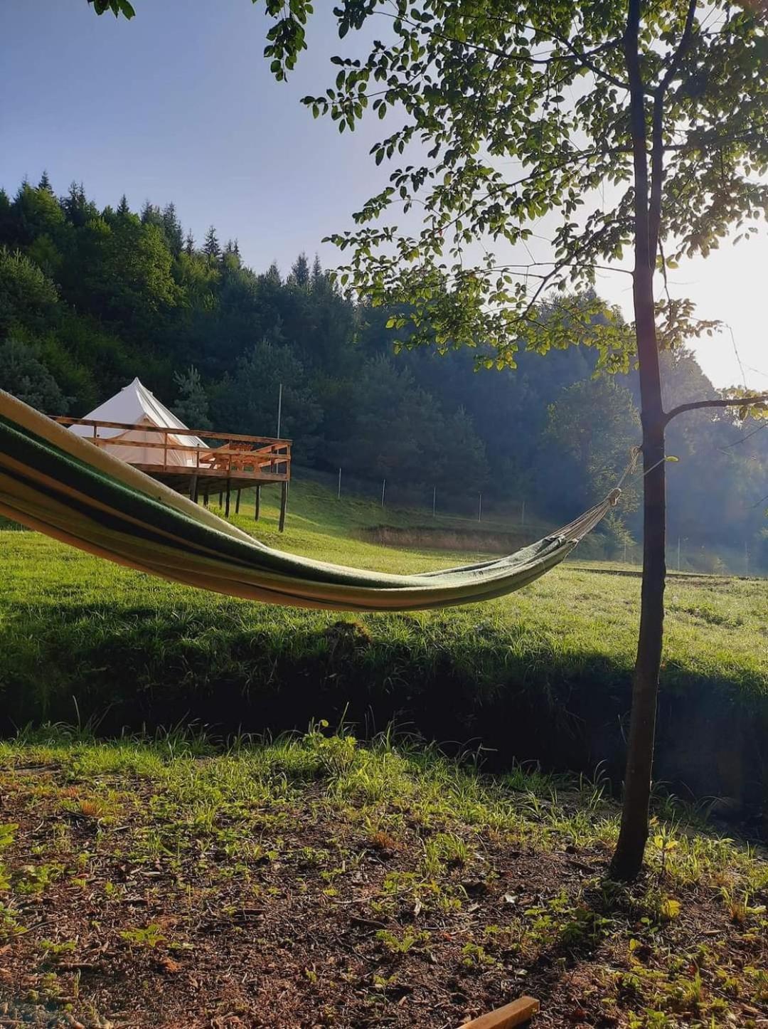 Forest Glamping Brasov Exterior photo
