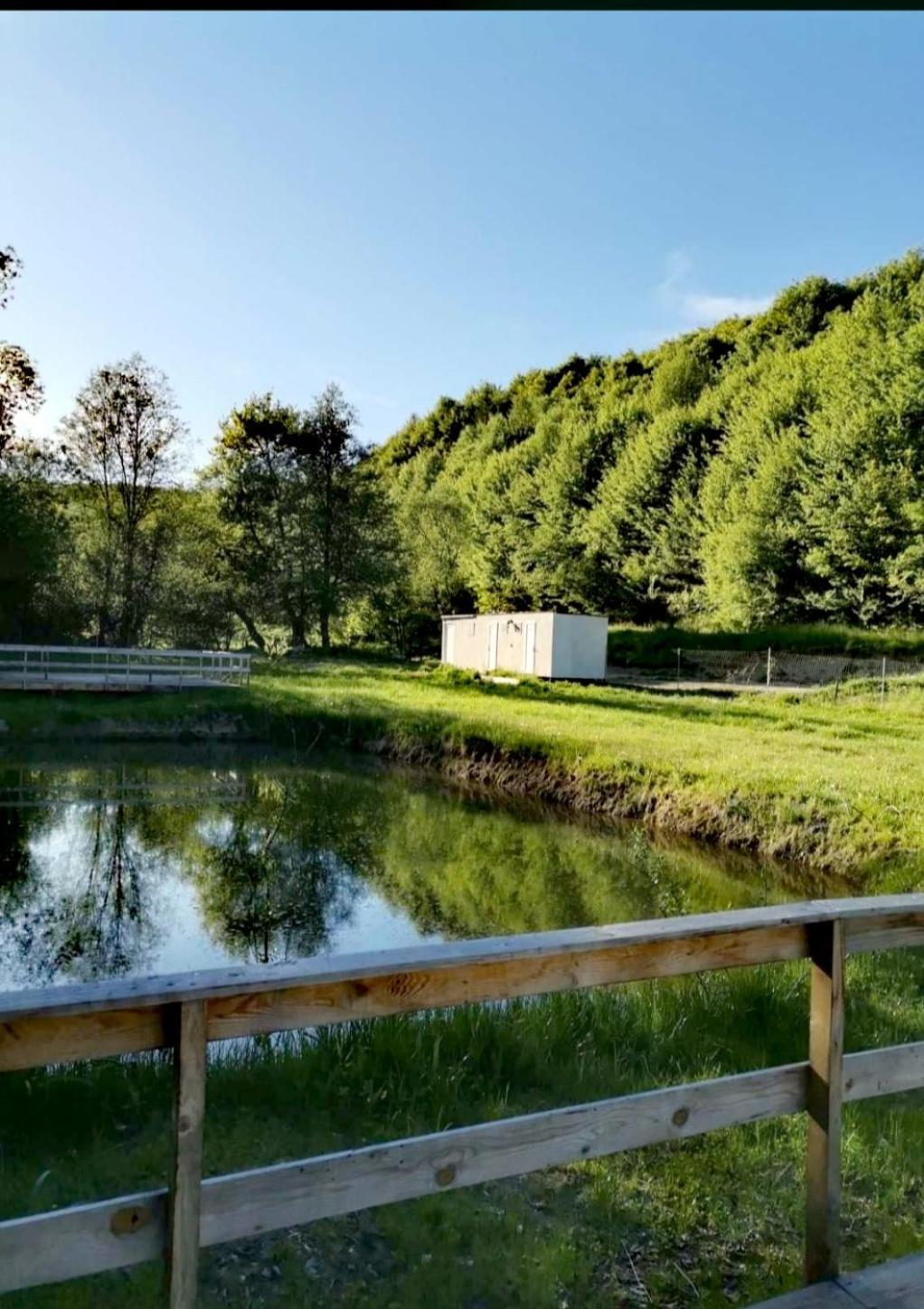 Forest Glamping Brasov Exterior photo