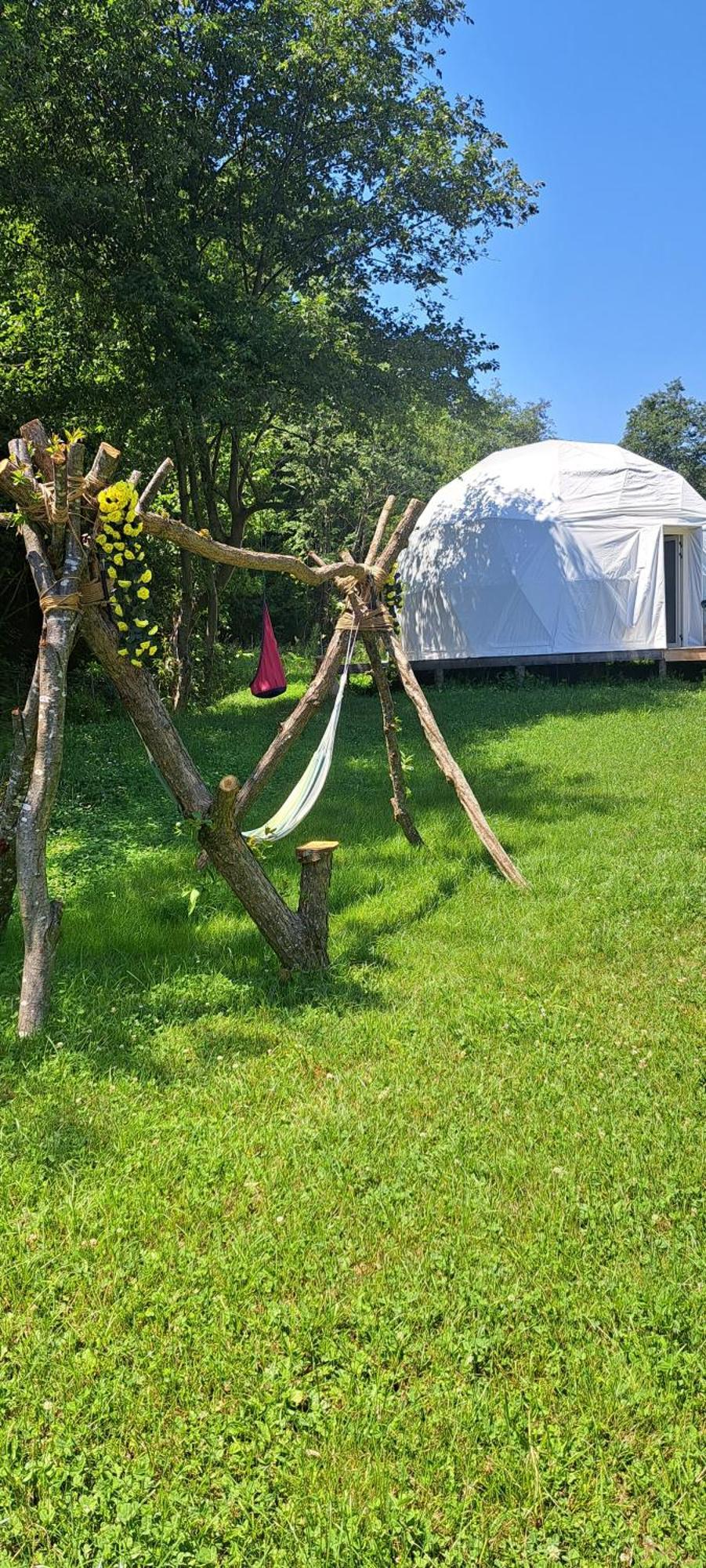 Forest Glamping Brasov Exterior photo