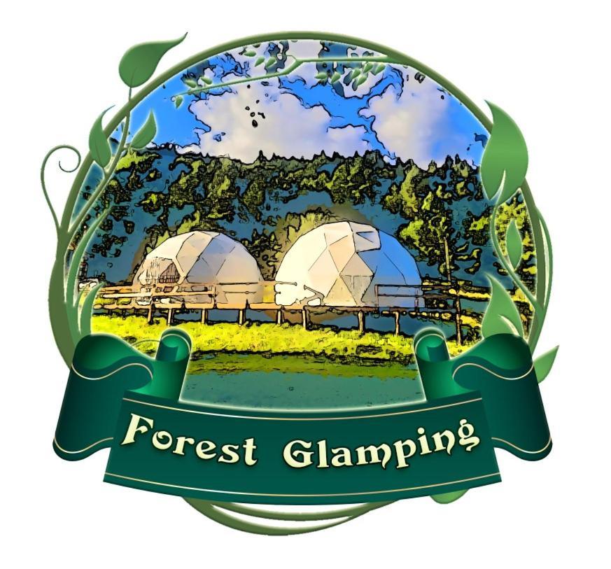 Forest Glamping Brasov Exterior photo