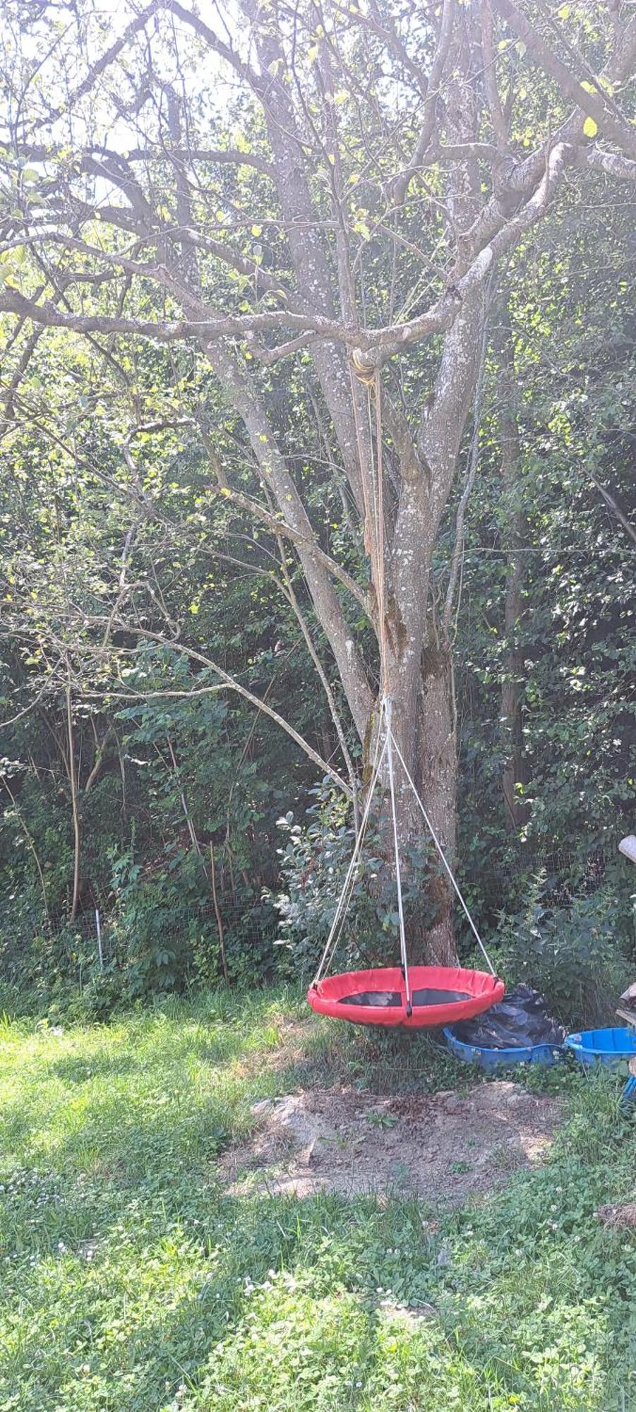 Forest Glamping Brasov Exterior photo