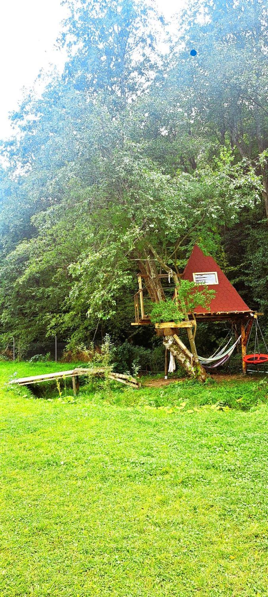 Forest Glamping Brasov Exterior photo