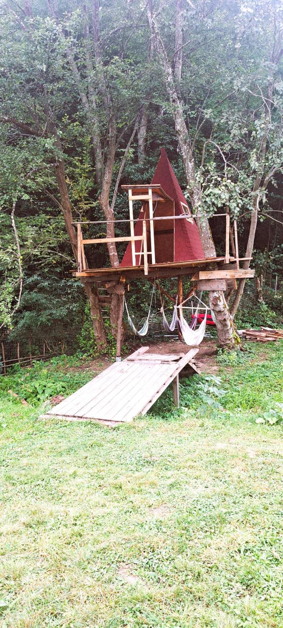 Forest Glamping Brasov Exterior photo